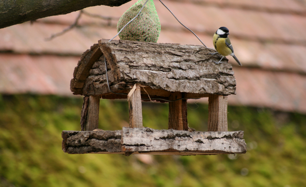 Small bird feeder