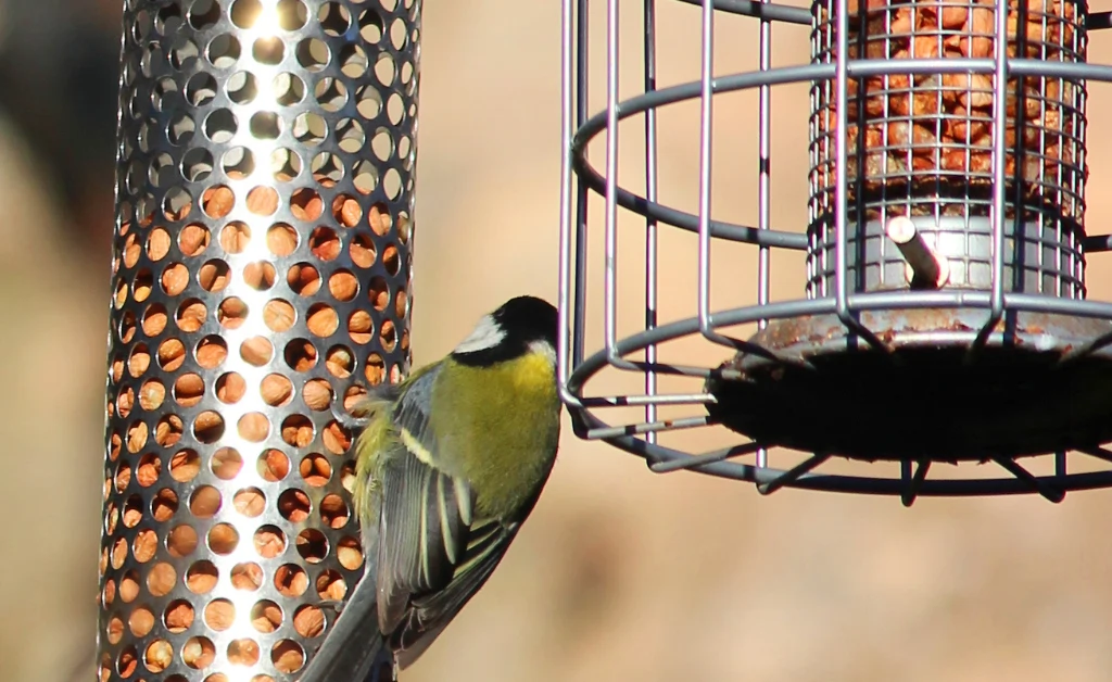 Squirrel proof bird feeder