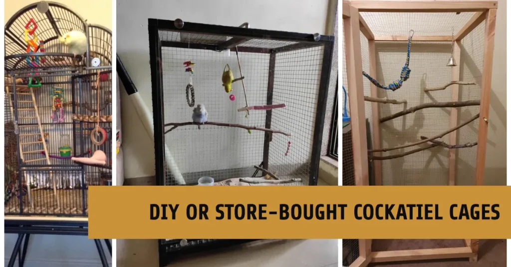 DIY or Store Bought Cockatiel Cages