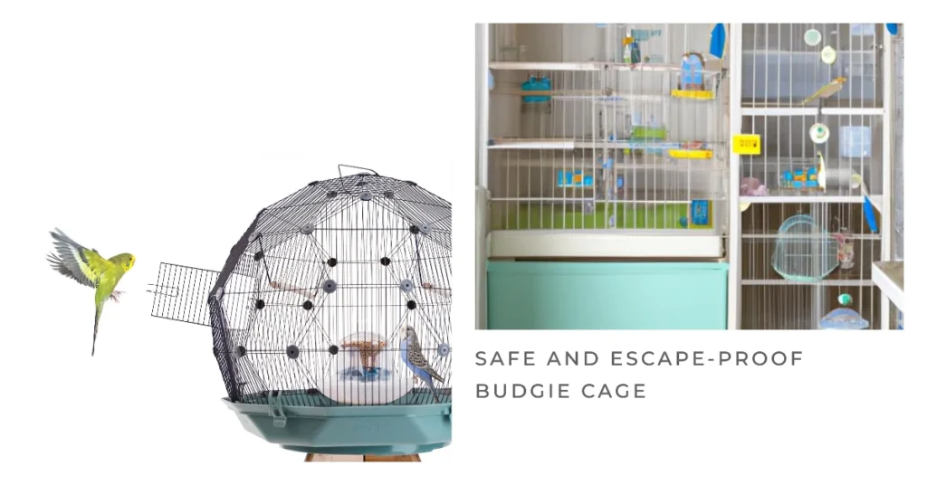 Safe and Escape Proof Budgie Cage