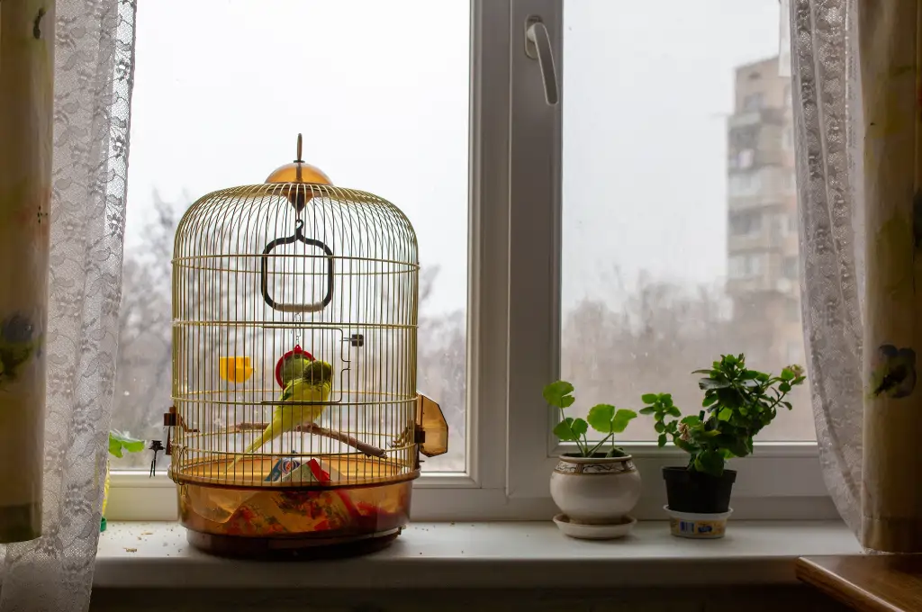 Small Bird Cage