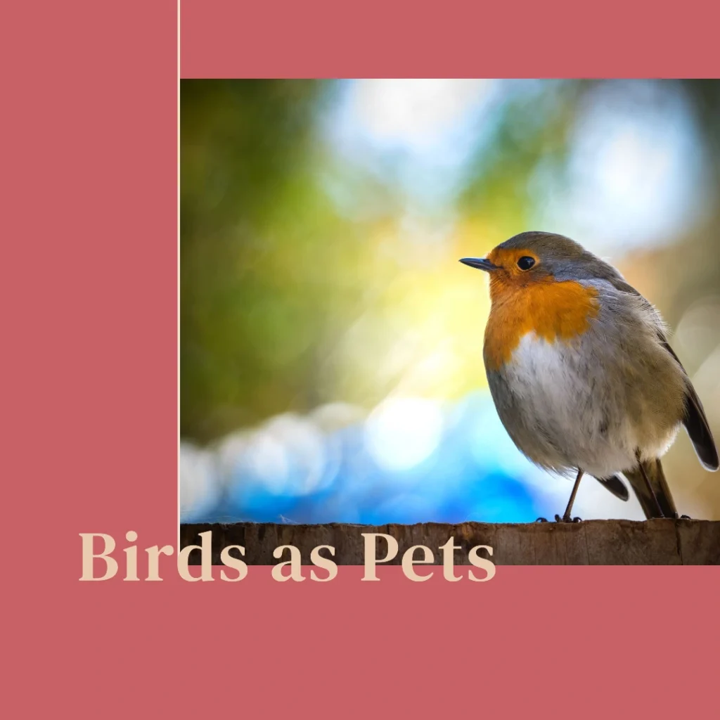 The Pros and Cons of Keeping Birds as Pets