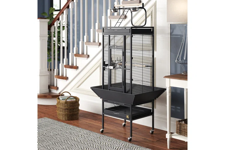 Tips for Buying the Ideal Bird Cage Stand 1