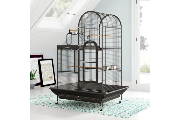 Tips for Buying the Ideal Bird Cage Stand 2