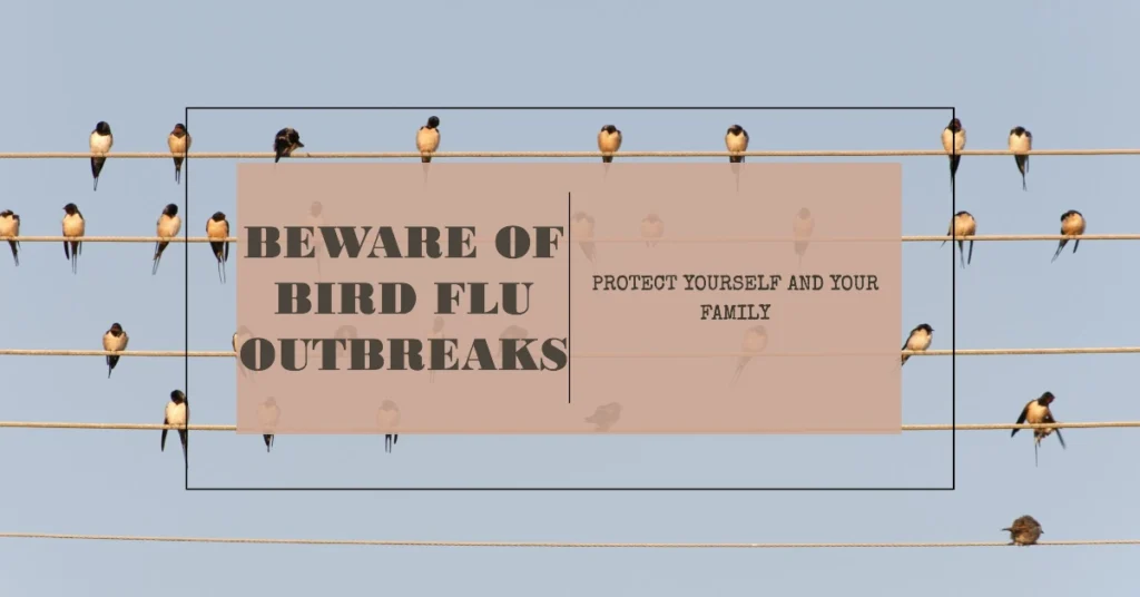 Bird Flu Pandemic-Beware of Bird Flu Outbreaks