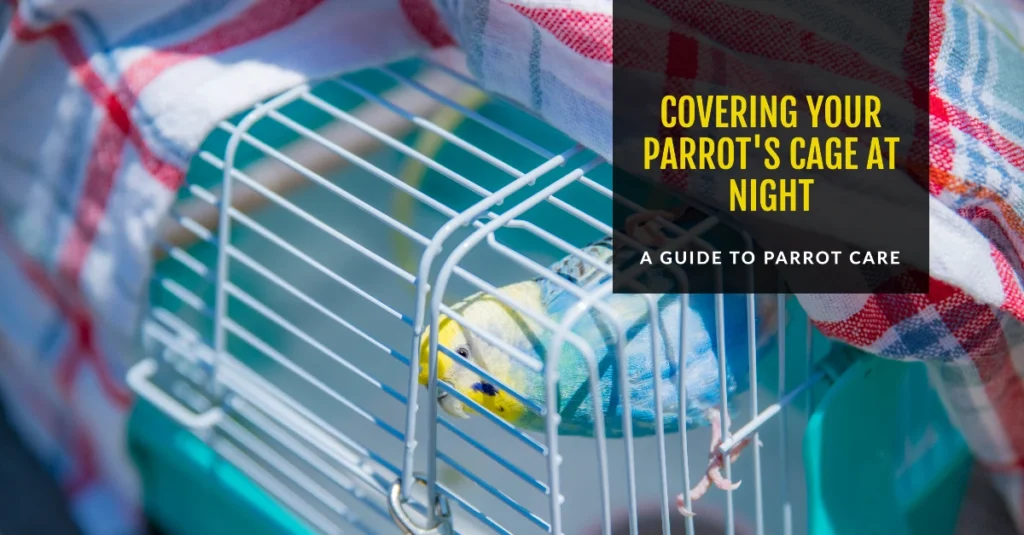 Should You Cover Your Parrot's Cage at Night